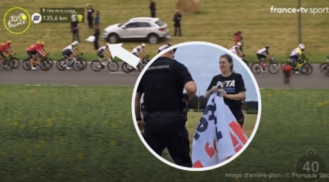 Tour de France : des militantes arrêtées alors qu’elles protestaient contre la corrida