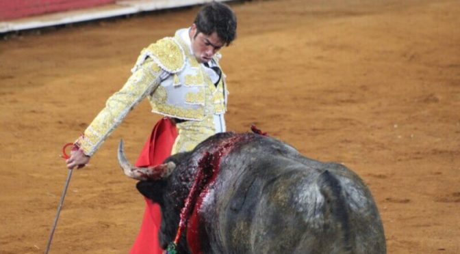 Elise Goldfarb invite un matador ayant récemment fait son coming out à se détourner de la tauromachie