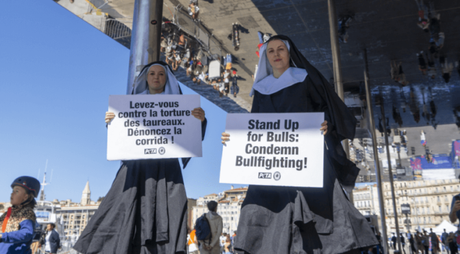 Des « nonnes géantes » appellent le pape François à rompre les liens entre l’Église et la corrida