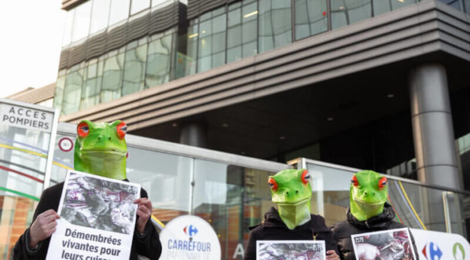 Des « grenouilles » devant le siège de Carrefour pour appeler l’enseigne à cesser de vendre leurs cuisses