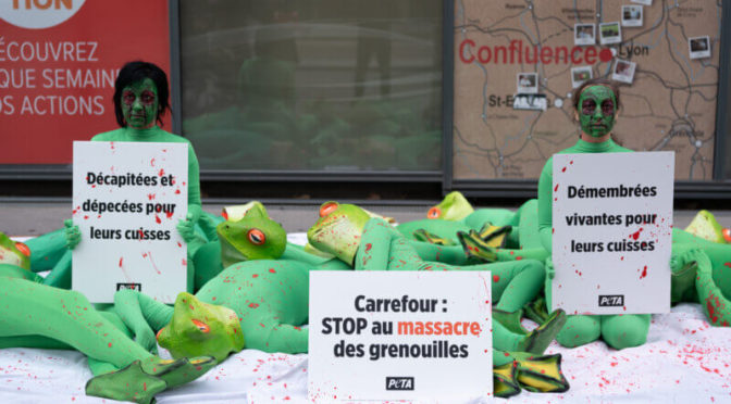 Lyon : une pile de « cadavres » devant Carrefour pour appeler l’enseigne à cesser de vendre leurs cuisses