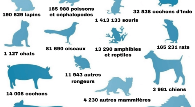 Des animaux utilisés dans plus de 2 millions de procédures scientifiques en France