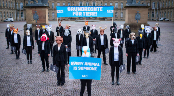 30 ans de PETA Allemagne : des droits fondamentaux pour les animaux !