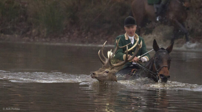 PETA demande à Gabriel Attal d’interdire la présence d’enfants à la chasse et à la corrida