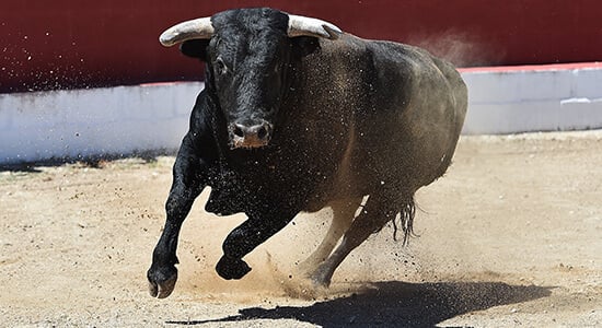 Avancée historique : la Colombie interdit la corrida