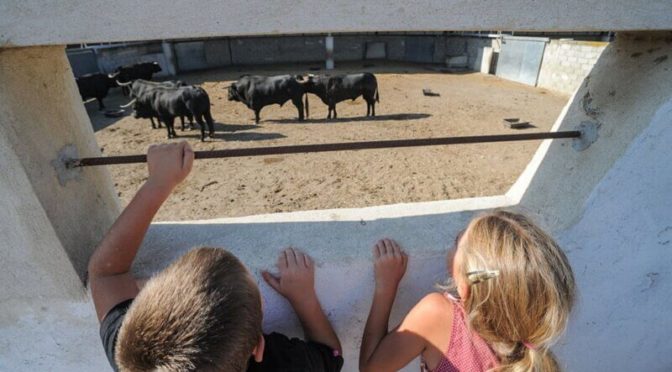 Pourquoi PETA veut interdire les corridas aux enfants