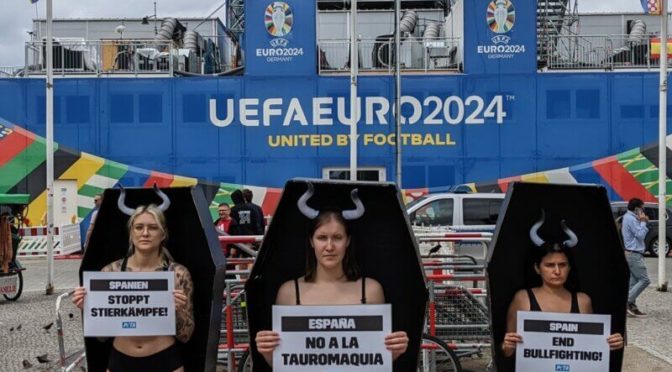 Finale du championnat d’Europe : le football, c’est beau, la corrida c’est barbare