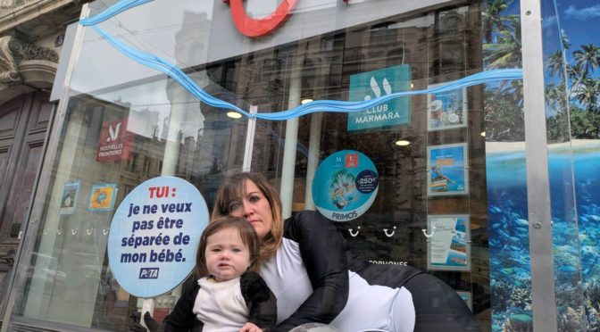 Saint-Étienne : une mère « orque » et son bébé confinés dans un « bassin » pour dénoncer l’agence de voyage TUI