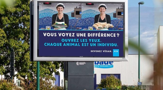 Bretagne : des annonceurs refusent une campagne antispéciste de PETA comparant la consommation de poisson à celle de chat