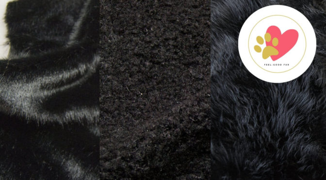 Fourrureshop.fr d’ECOPEL aide les ours et les autres animaux